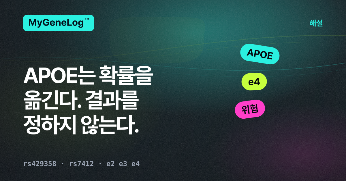APOE와 알츠하이머 위험: 연구가 실제로 말하는 것