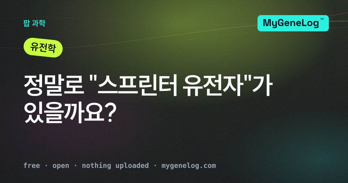 근섬유가 두 갈래로 갈라지는 모습, 한쪽은 짧고 강력한 순간을 위한 것, 다른 한쪽은 지속적인 지구력을 위한 것
