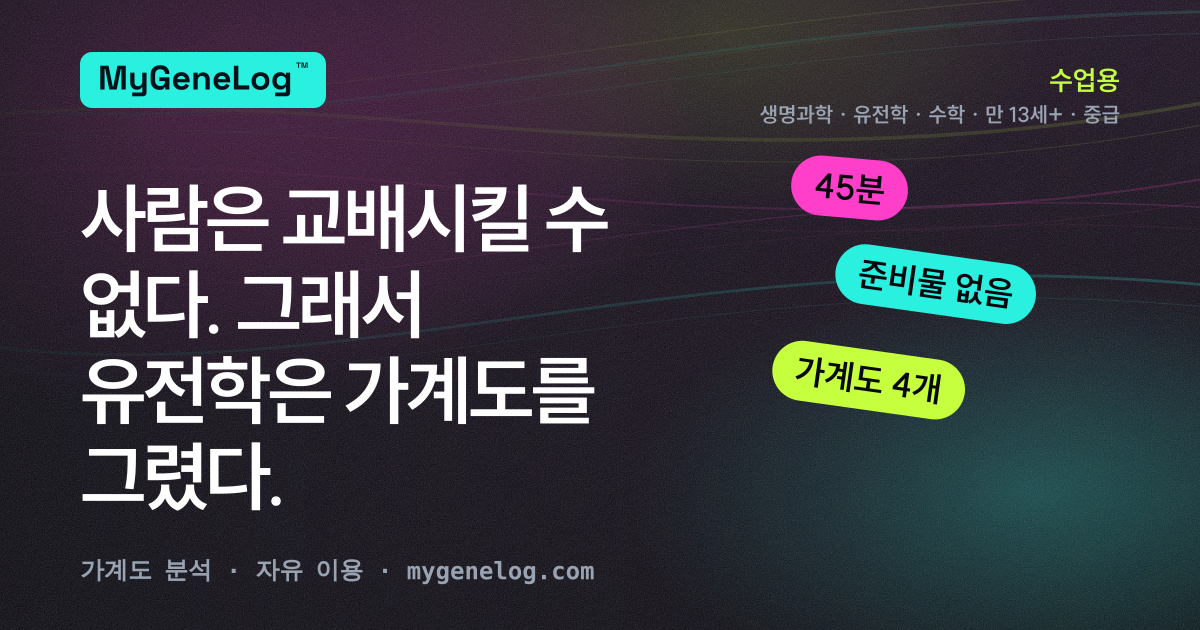 수업안: 가계도를 읽는 법, 그리고 교과서 규칙이 깨지는 자리