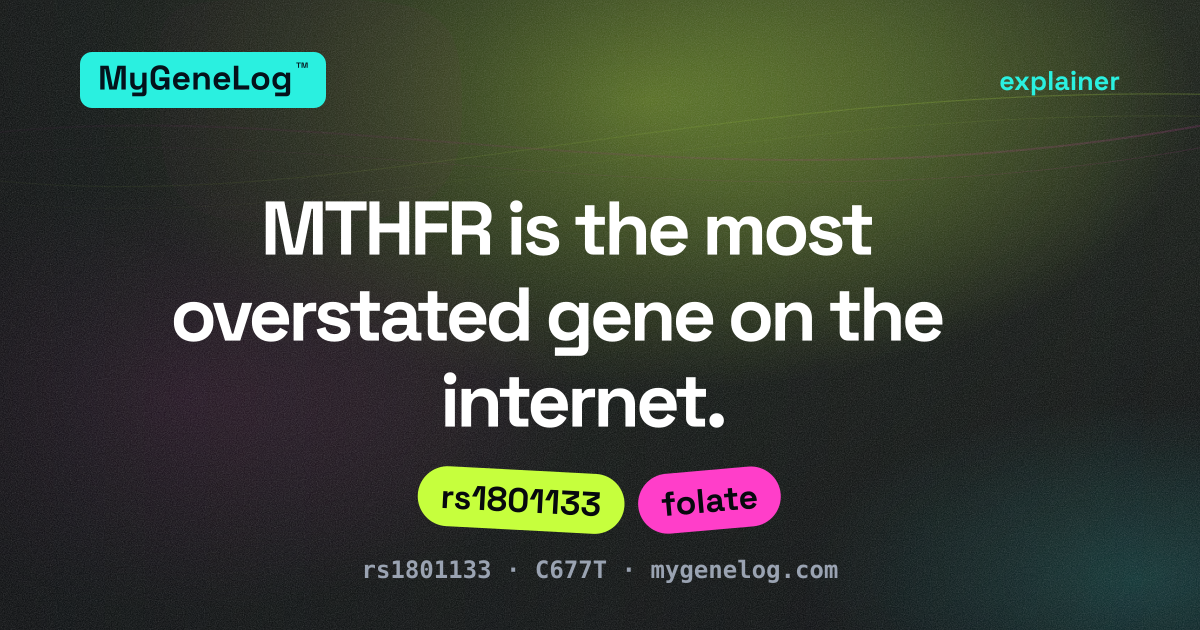 MTHFR Explained: What rs1801133 Actually Means
