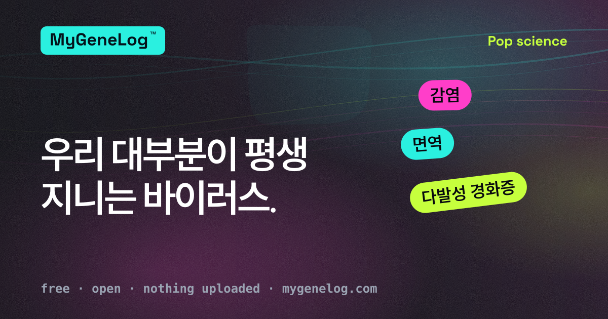 똑같은 사람들이 모인 군중, 거의 모두가 같은 작은 그림자를 지닌 모습