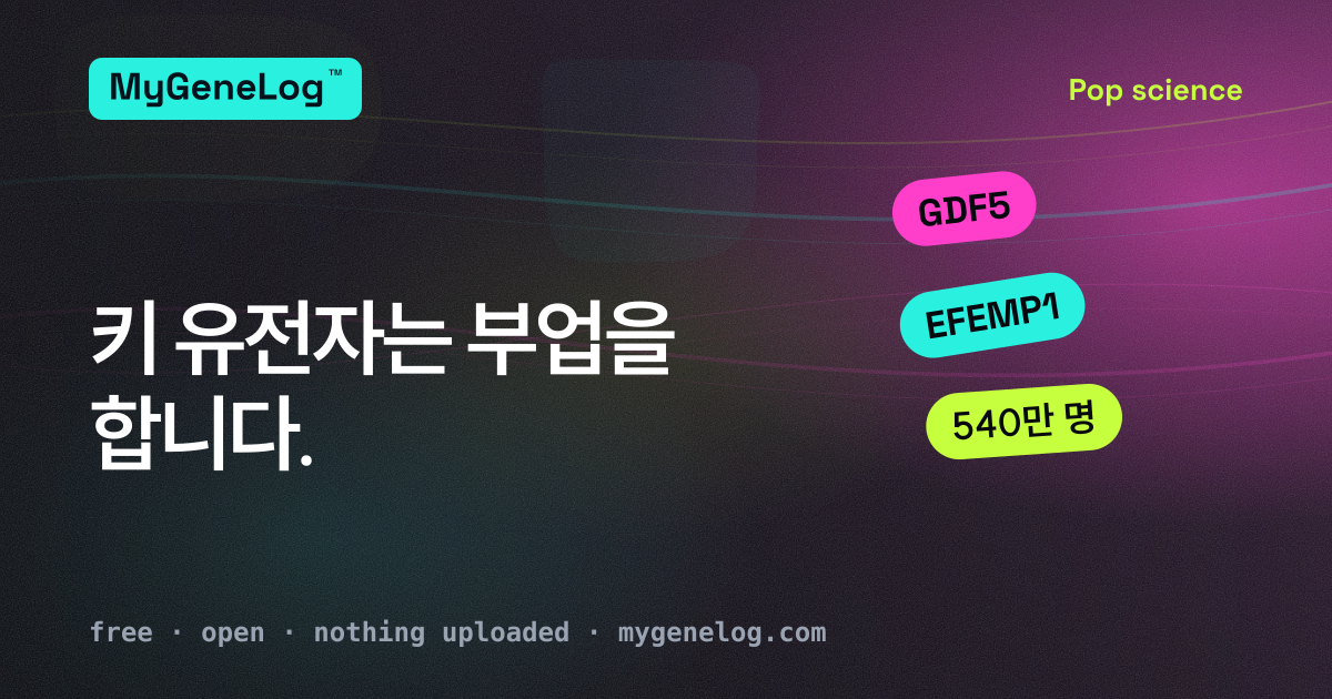 벽에 그려진 키 눈금 가운데 두 개가 무릎과 복벽으로 이어지는 그림