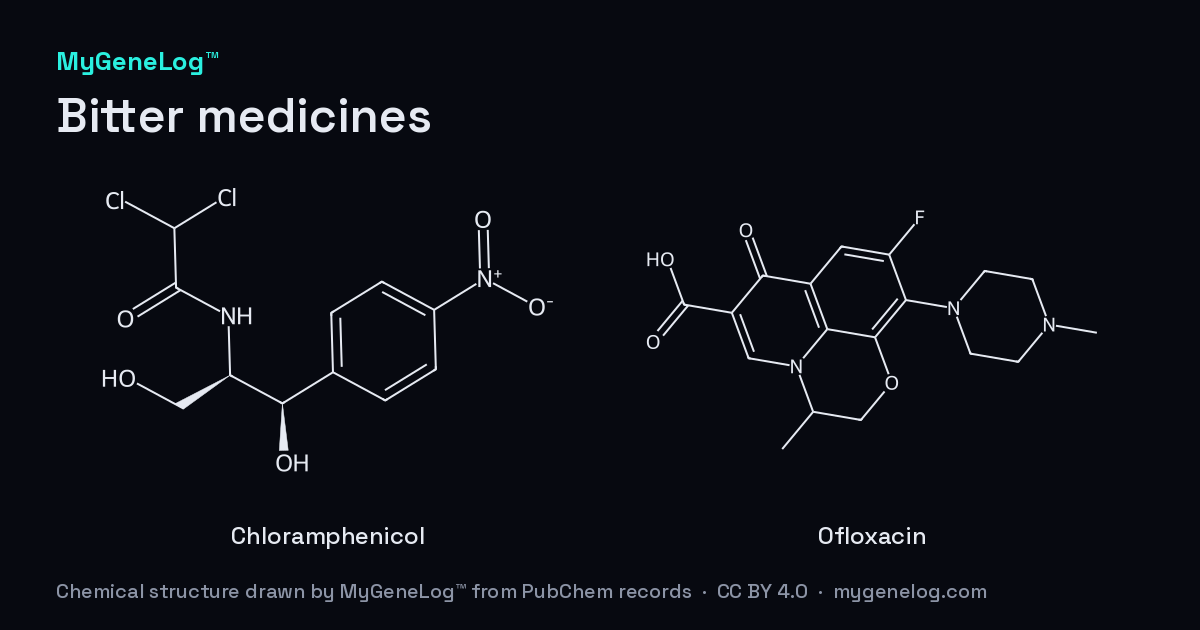 쓴 약의 화학 구조: chloramphenicol, ofloxacin. MyGeneLog™가 PubChem 기록으로 그린 그림
