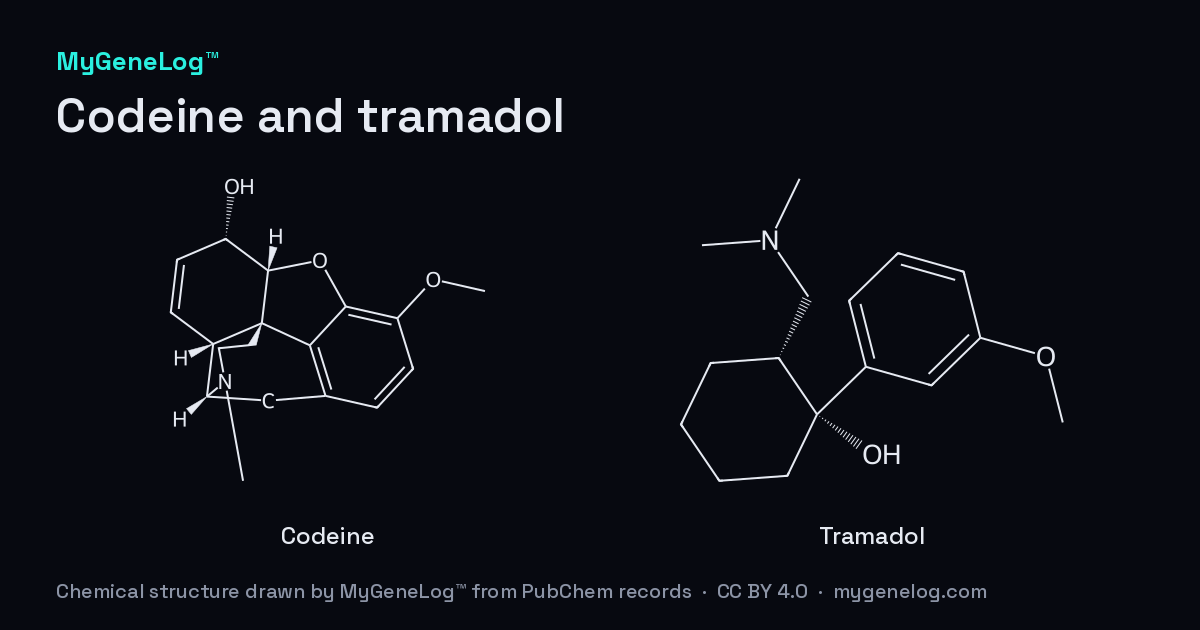 코데인과 트라마돌의 화학 구조: codeine, tramadol. MyGeneLog™가 PubChem 기록으로 그린 그림