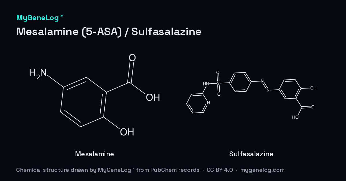 메살라민(5-ASA) / 설파살라진의 화학 구조: mesalamine, sulfasalazine. MyGeneLog™가 PubChem 기록으로 그린 그림