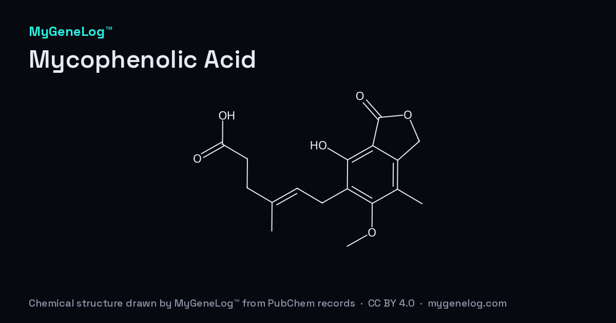 Chemical structure of Mycophenolic Acid: mycophenolic acid, drawn by MyGeneLog™ from PubChem records