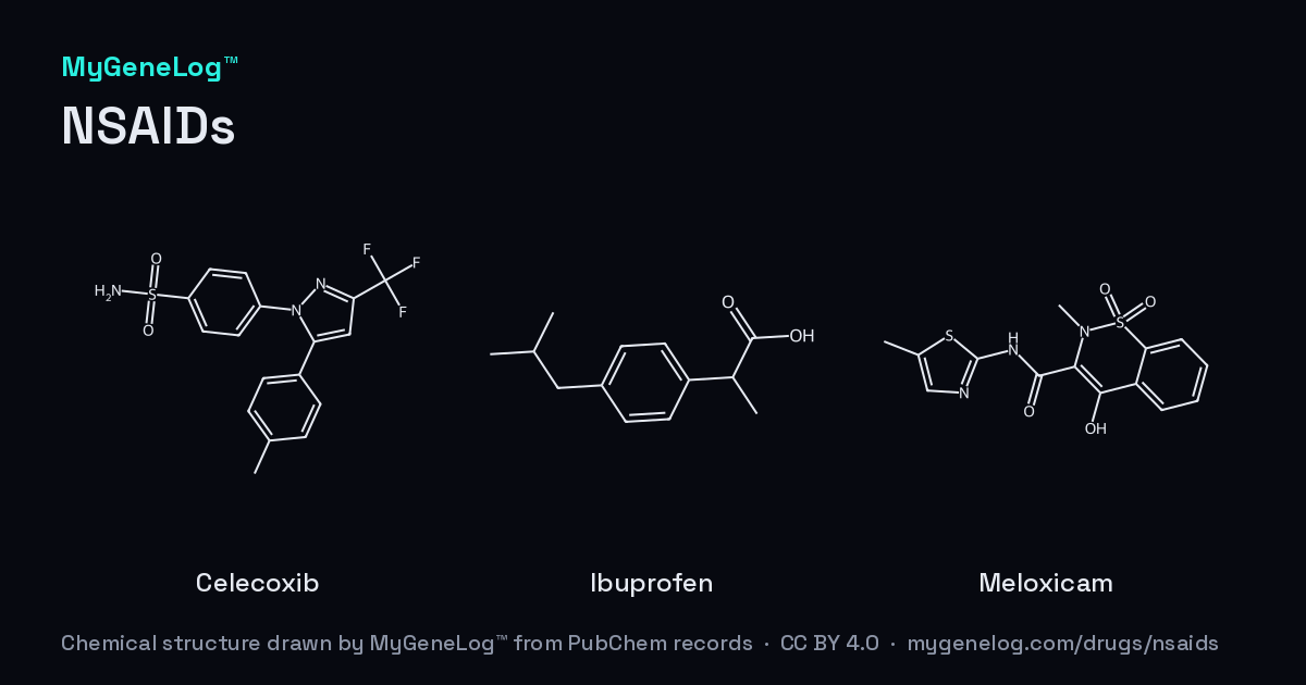 소염진통제(NSAIDs)의 화학 구조: celecoxib, ibuprofen, meloxicam. MyGeneLog™가 PubChem 기록으로 그린 그림