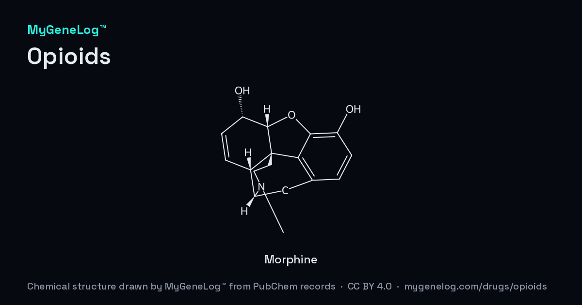 오피오이드의 화학 구조: morphine. MyGeneLog™가 PubChem 기록으로 그린 그림