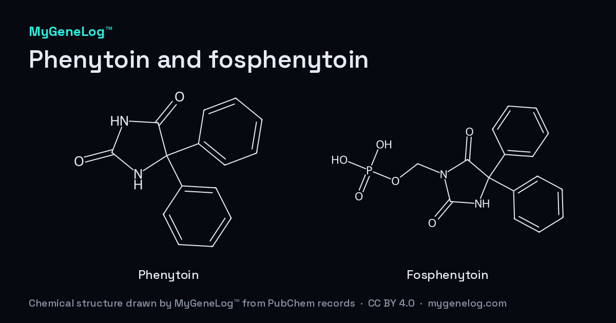 페니토인과 포스페니토인의 화학 구조: phenytoin, fosphenytoin. MyGeneLog™가 PubChem 기록으로 그린 그림