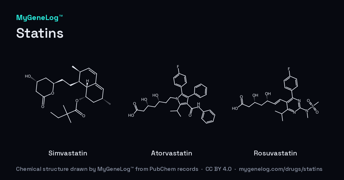 스타틴의 화학 구조: simvastatin, atorvastatin, rosuvastatin. MyGeneLog™가 PubChem 기록으로 그린 그림