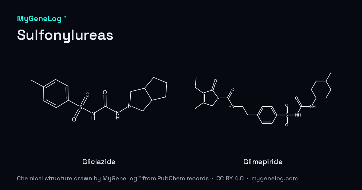 Chemical structure of Sulfonylureas: gliclazide, glimepiride, drawn by MyGeneLog™ from PubChem records