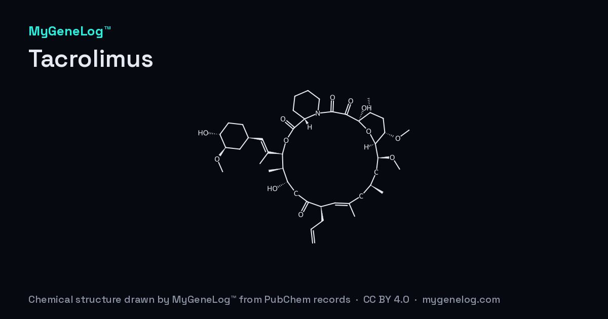 Chemical structure of Tacrolimus: tacrolimus, drawn by MyGeneLog™ from PubChem records