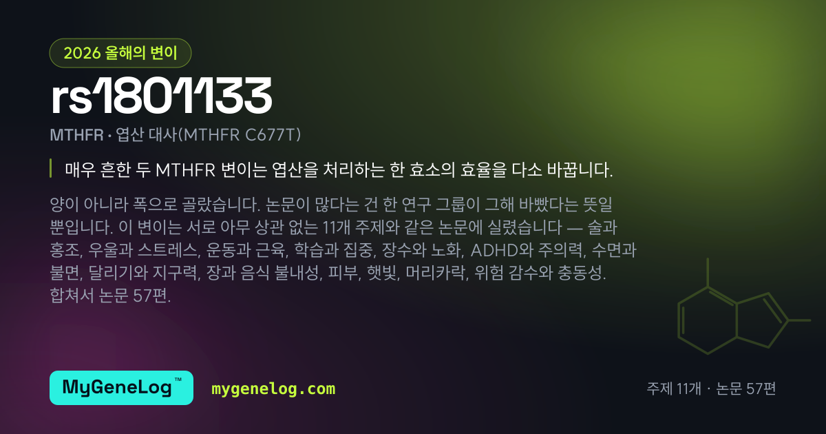 2026 올해의 변이: rs1801133, MTHFR