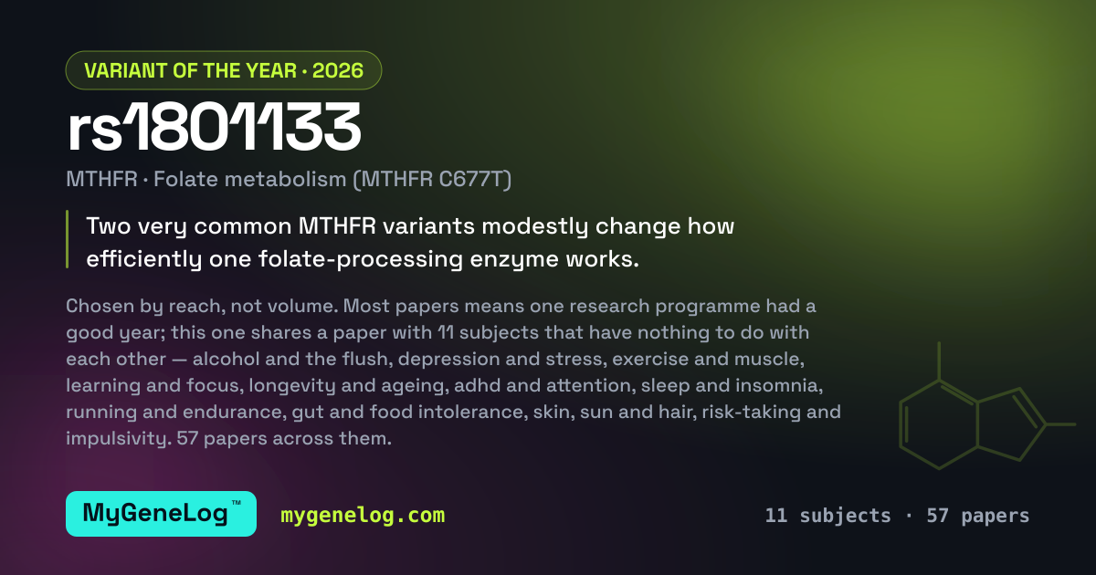 Variant of the year 2026: rs1801133, MTHFR